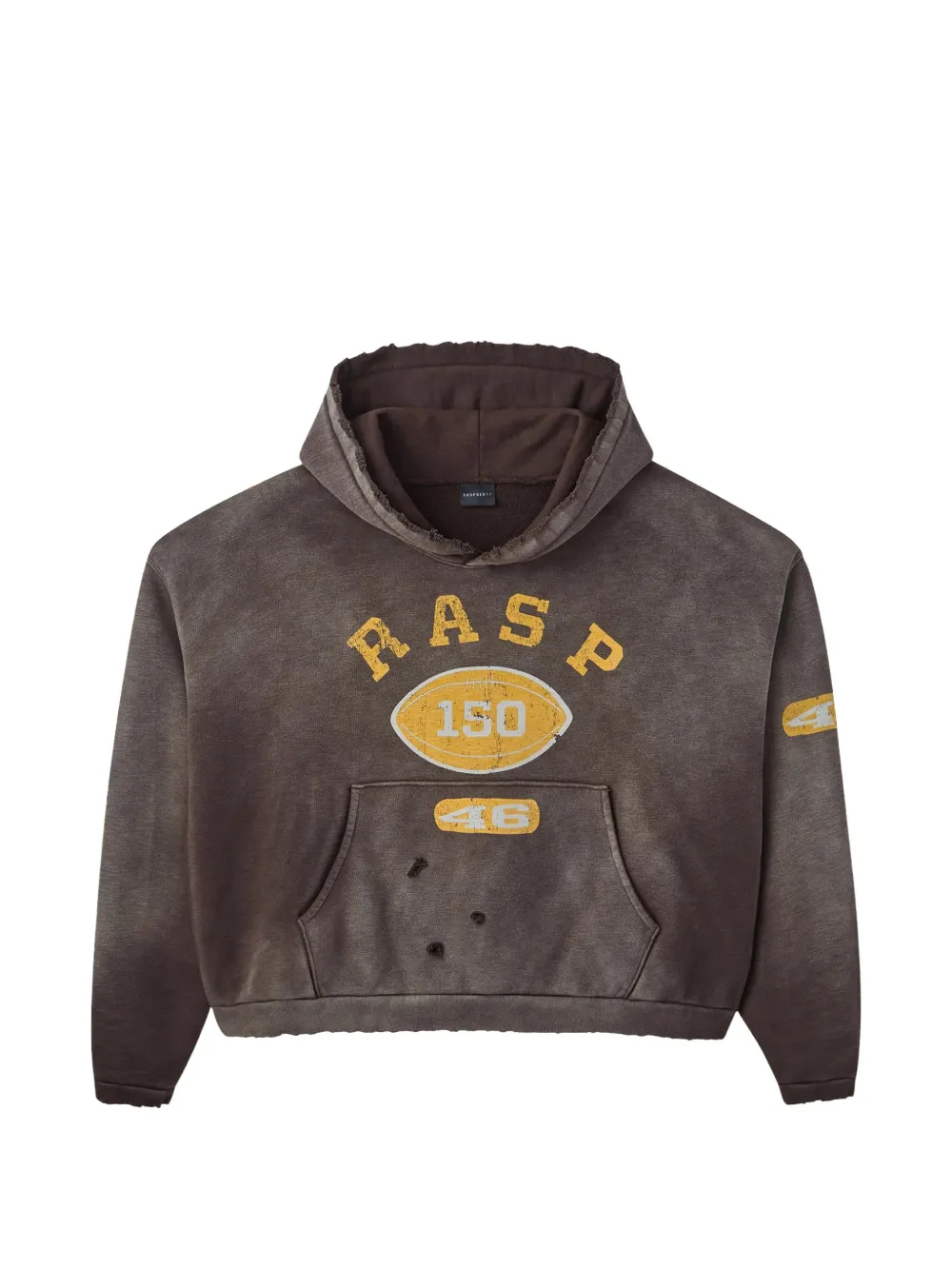 36511215_68523575_1000.webp Rapberry Distressed Design Graphic Print Hoodie - Image 1